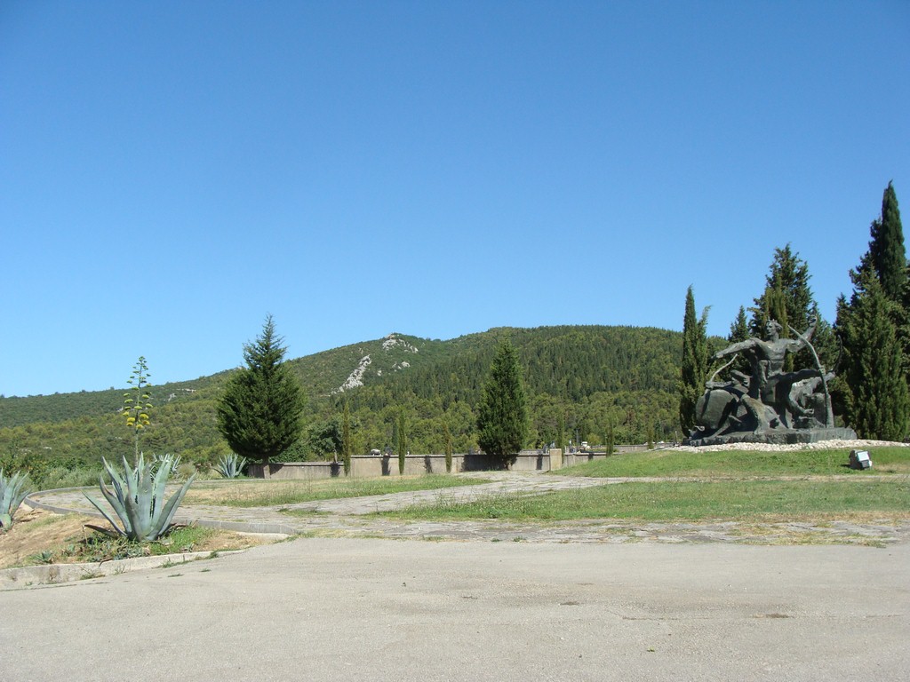 Agava (9)
